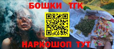 мдпв Бийск