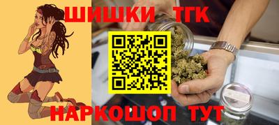 мдпв Бийск