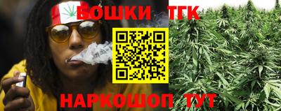 мдпв Бийск