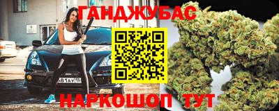 мдпв Бийск