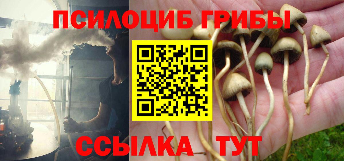 Галлюциногенные грибы мицелий  Псилоцибиновые грибы мицелий  Вход с VPN  Кизляр 